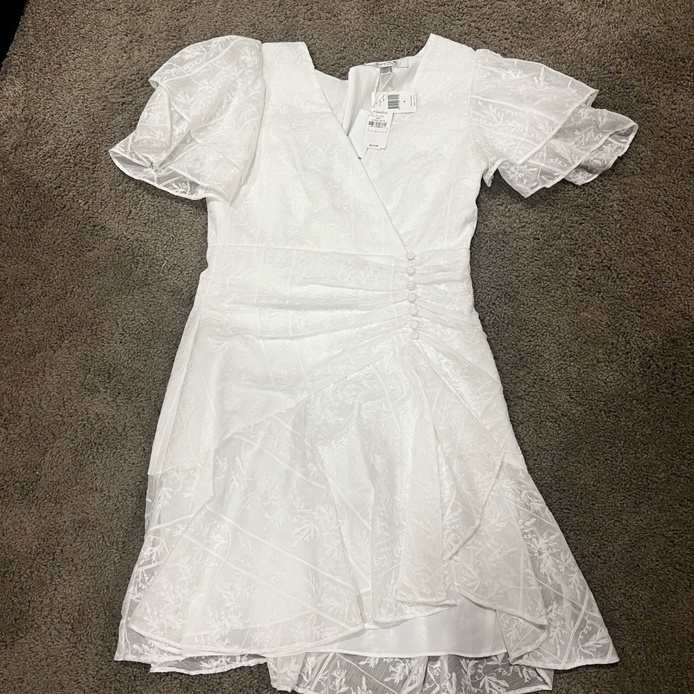 Ever New Dress